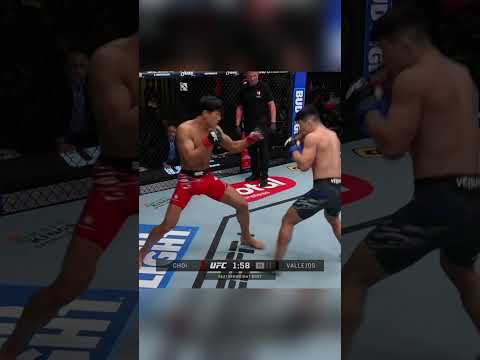 Kevin Vallejos‘ Ascendancy: An Argentinian Fighter’s UFC Journey