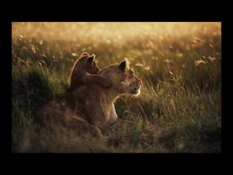 Surorile Mandici - O casa mica