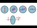 Physics 53 Polarization 1 Of 5 Introduction
