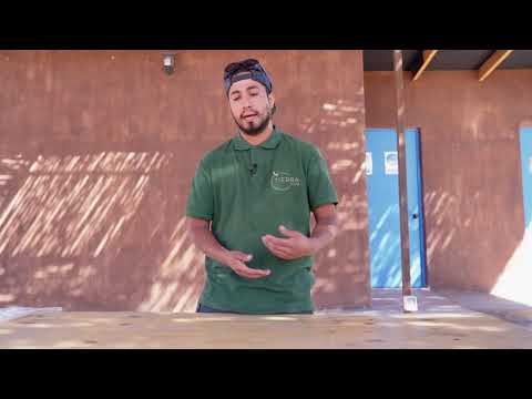 👨🏽‍🏫  🍃  Tips Tierra Viva - Plantando el chañar con Franco 👨🏽‍🏫   🍃