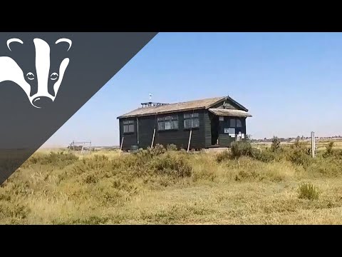 The Essex Coastal Challenge - Colne Point nature reserve