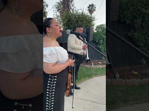 Promotional video thumbnail 4 for Mariachi Bohemio