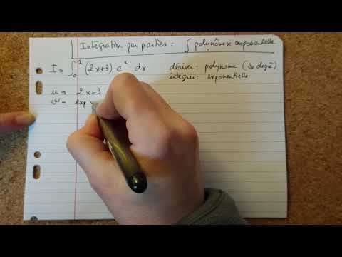 Integration by parts (polynomial x exponential) L1 Analysis Calculation of integral