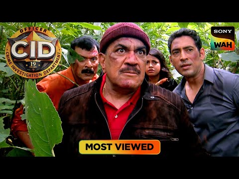 ACP और उनकी Team की खतरनाक Island पर फँसी जंग | CID | सी.आई.डी. | Most Viewed