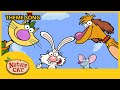 Nature Cat Theme Song Videos For Kids