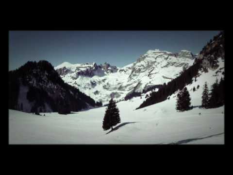 Schneeschuh-Rundtour: Wildhaus - Gamplüt - Teselalp / 25.01.17