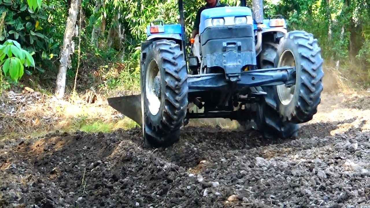 Máy cày NEW HOLLAND TT75 quá to kéo dòng khoai quá đỉnh