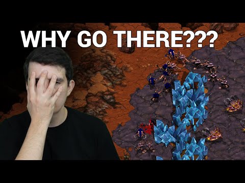StarCraft 1: SQUANDERED ADVANTAGE? - ZeLoT vs Absolute | CNSL 5