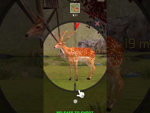 Hunt The Deer🦌#Level-1#Animal hunter game #gameplay