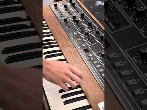 Sequential Circuits Prophet 5 Rev 2 @ Sound Source