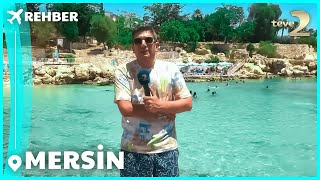 Rehber 271. Bölüm | MERSİN FULL BÖLÜM İZLE!