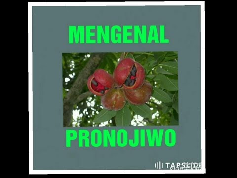Krim palu situs resmi torus Saya memiliki penis kecil yang perlu dilakukan