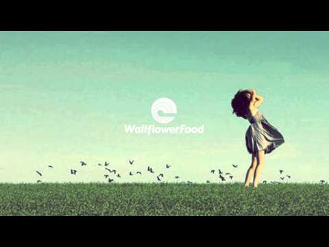 MÖWE ft. Clari - Happiness | Free Download Here!