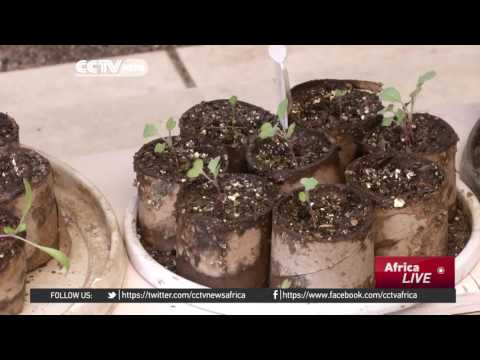 South Africa uses earthworms to recycle organic waste in