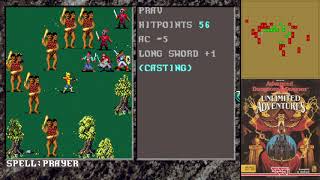 Let's Play Forgotten Realms Unlimited Adventures (SSI) - Episode 8 - Checking out the Realm