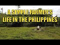 A Simple Farmer's Life  In The Philippines.