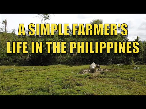A Simple Farmer's Life  In The Philippines.