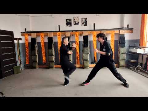 Hayk Ayvazyan - Armenian Wing Tsun, Chi Sao