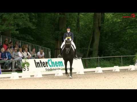 Benetton Dream FRH 1301 in Rotterdam