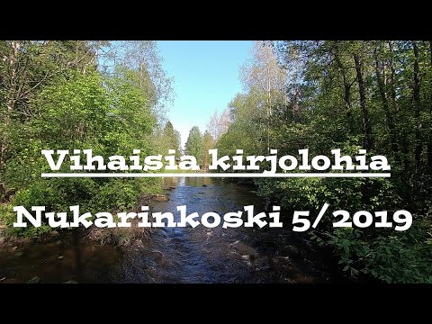Nukarinkoski 5/2019