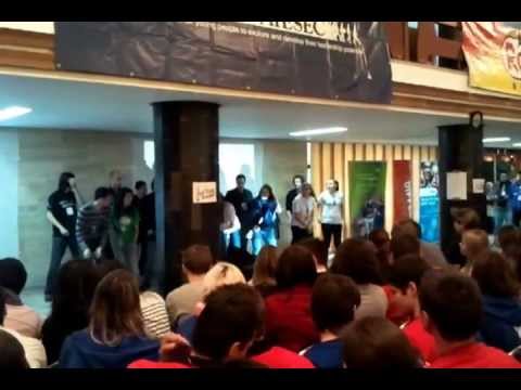 AIESEC Arad roll-call at RYLF2012