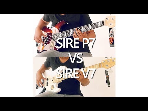 #1minutereview SIRE P7 vs SIRE V7 Comparison | 1 minute review