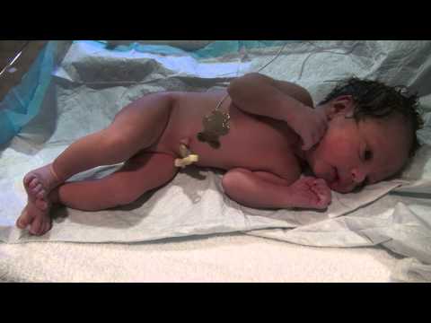 Jayan Birth 1
