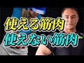 ボディビルダーの筋肉は使えない?【使える筋肉】と【使えない筋肉】論争に終止符を打つ!