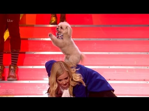 Britain's Got Talent 2016 Trip Hazard & Lucy Semi-Final Round 5 Full Performance S10E16