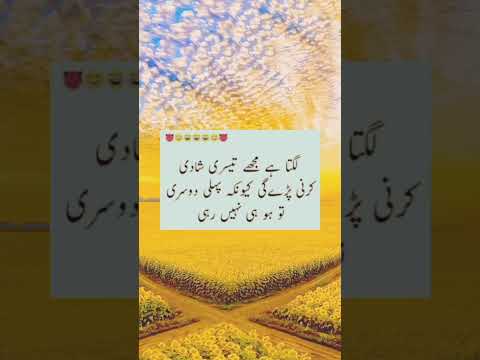 How to funny tortos Urdu video#4kfullscreenstatus #viral video