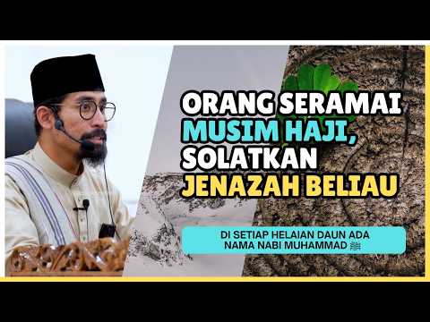Daun Seperti Telinga Gajah, Buah Sebesar Kolah 😱 | Ustaz Don Daniyal