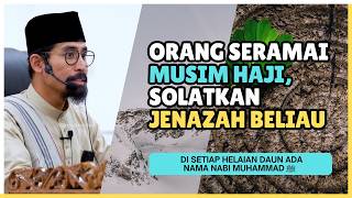 Daun Seperti Telinga Gajah, Buah Sebesar Kolah 😱 | Ustaz Don Daniyal