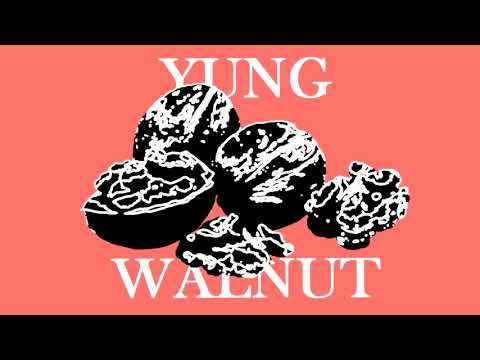 yung walnut - my favorite things (ft. bobby black guy)