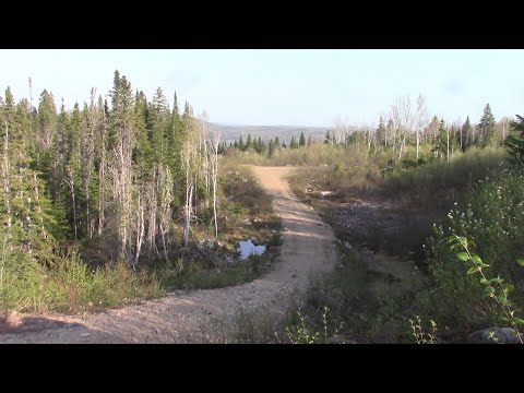 L'gosseux d'bois Chalet mai 2023