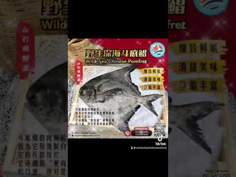 #野生深海斗底鲳鱼被视为带有“吉祥昌盛，年年有余”