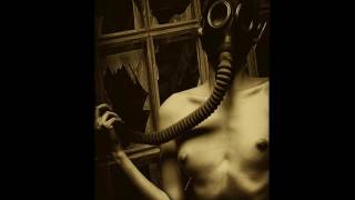 Disflesh-The toxic demos (tape,2015)