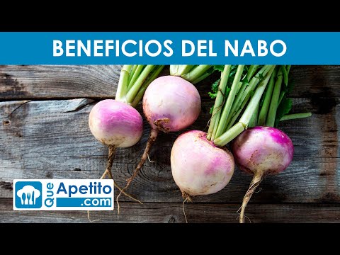 8 Propiedades y Beneficios del NABO ✅ | QueApetito
