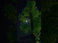 Ninakai Snehathin Alone Nice Moon Shortsvideo Moonmoon Alone Alone On The Moon Alone With The Moon