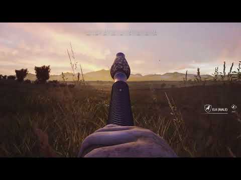 The elk loadout in hunting simulator 2