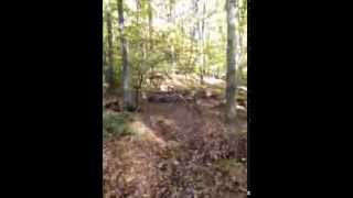 preview picture of video 'Tyler Arboretum via Ridley Creek State Park December 2013'
