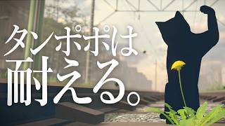 タンポポになって強く育つゲーム｜タンポポは耐える。