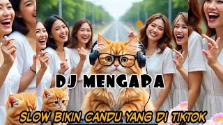 Download lagu DJ MENGAPA SLOW BIKIN CANDU YANG DI TIKTOK BY Yanz Tube mp3