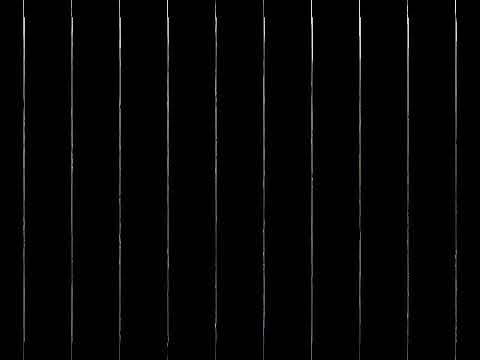 l iris l oro blu di firenze