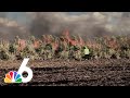 Bittersweet Muck Florida Sugar Fires Lead To Complaints Research And Calls For Change