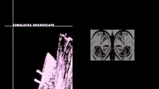 Miroslaw Rajkowski - Nr 2, the primary principle part 1.mov