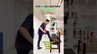 Download lagu nyeri & kaku paha belakang? lakukan latihan ini #drpras #hamstrings #nyeripaha mp3