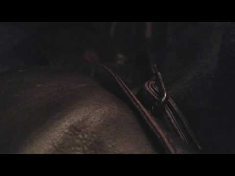 Chapin HS Combined Choirs - Vi adoro, Da Rold