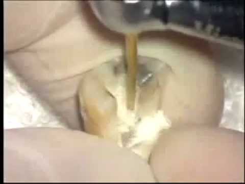 download lagu mp3 mp4 Axxes Com Login, download lagu Axxes Com Login gratis, unduh video klip Axxes Com Login