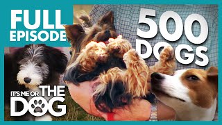 Thumbnail del capítulo