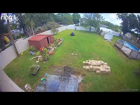 Lawn Love - Thieves!! - Image 2